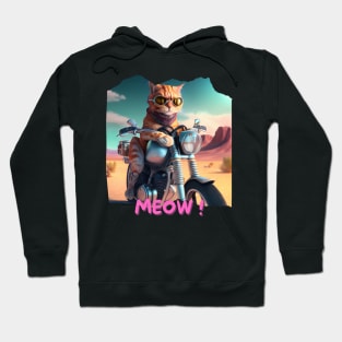 Cool Cat On Motorbike In The Desert 2 Hoodie